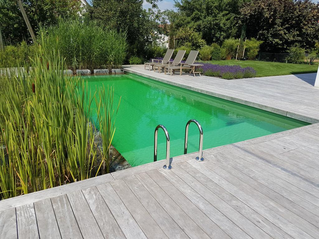 Ein besonders schöner Schwimmteich von Weis Natur + Raum.